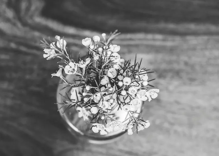 Bed & Breakfast Emma's Kleines 3*