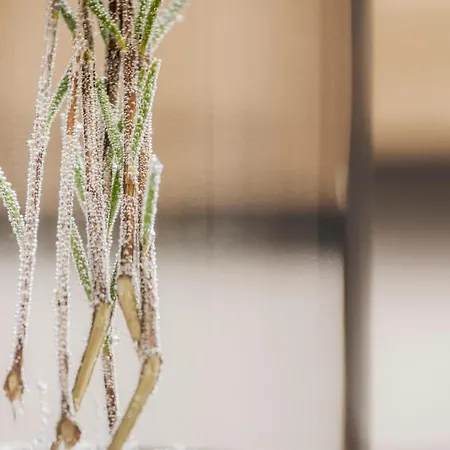 Emma's Kleines 3* Ramsau im Zillertal