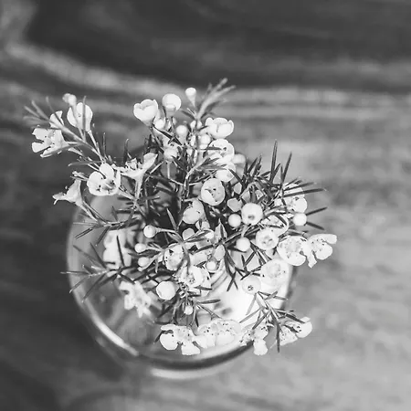 Oda ve Kahvaltı Emma's Kleines 3*