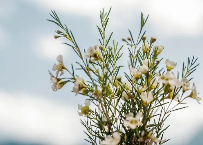 Emma's Kleines Alojamento de Acomodação e Pequeno-almoço 3*