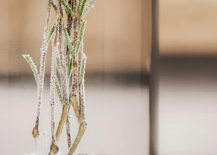 Emma's Kleines 3* Ramsau im Zillertal