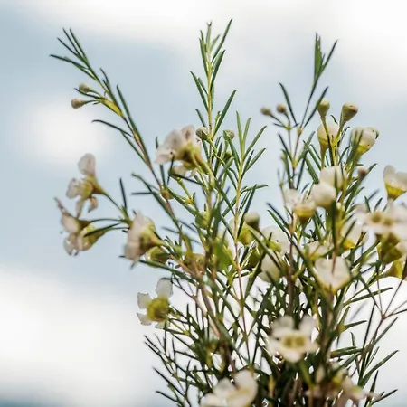 Emma's Kleines Bed and breakfast 3*